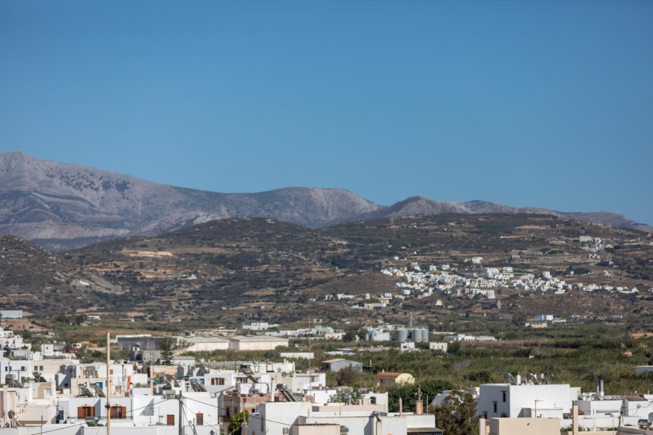 Naxian Icon Luxury Residence Naxos City Kültér fotó